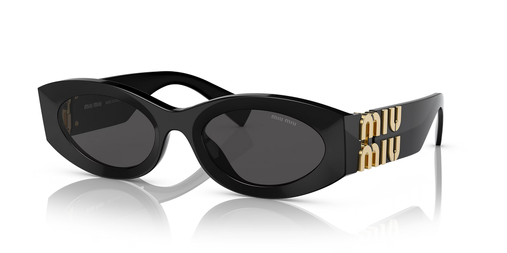Lunettes de Soleil Surdimensionnées Noires de Mode 8821