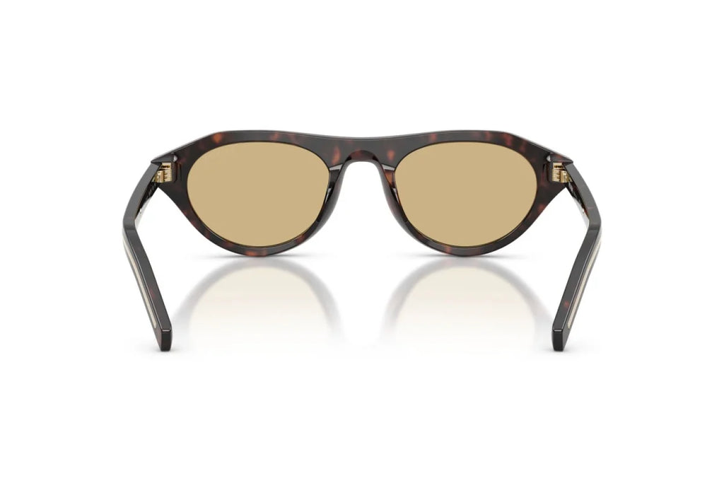 Lunettes de Soleil Tendance Premium Trendy 8856
