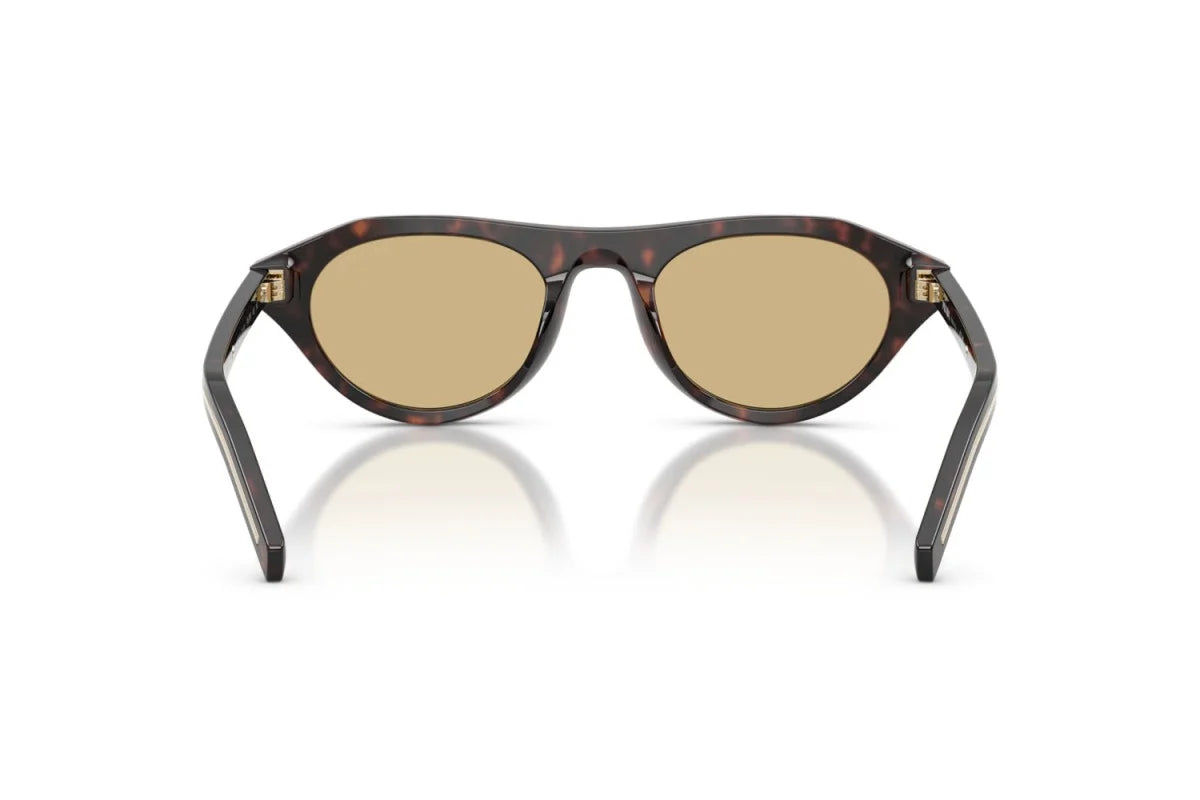Lunettes de Soleil Tendance Premium Trendy 8856