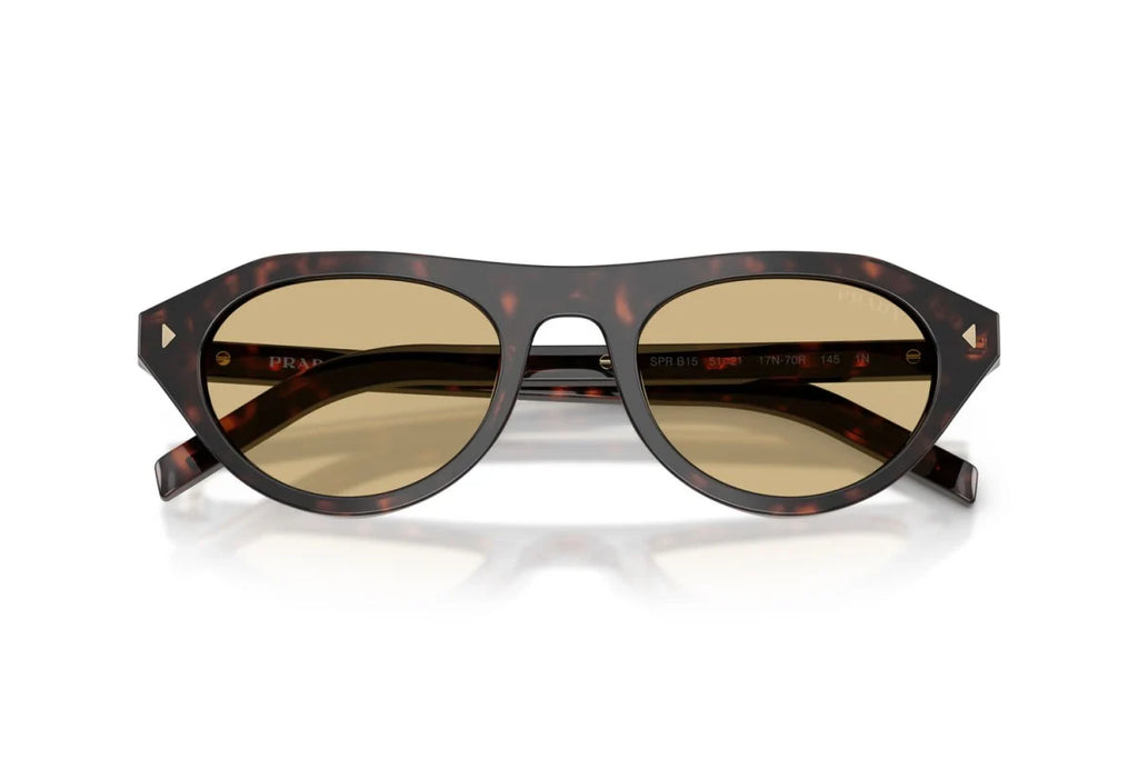 Lunettes de Soleil Tendance Premium Trendy 8856