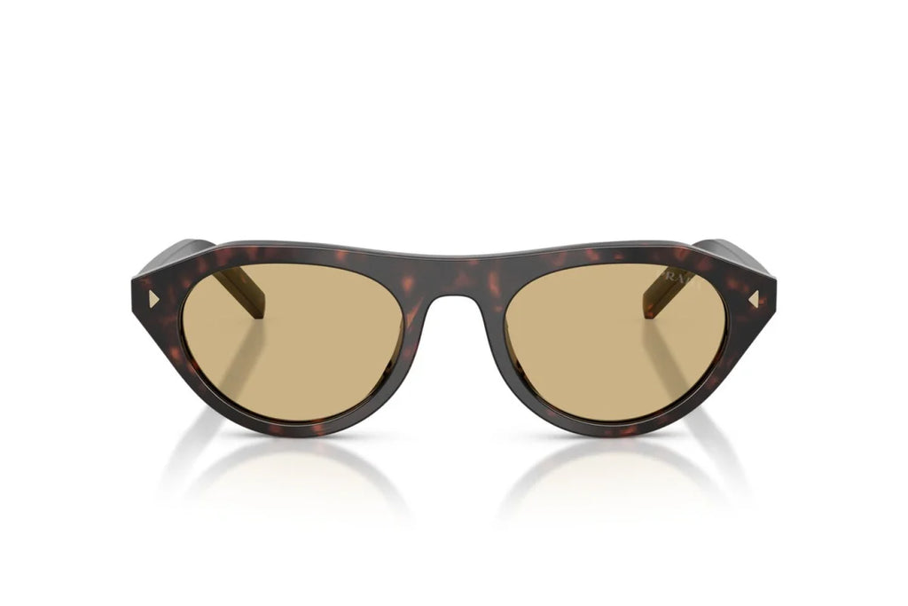Lunettes de Soleil Tendance Premium Trendy 8856