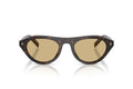 Lunettes de Soleil Tendance Premium Trendy 8856