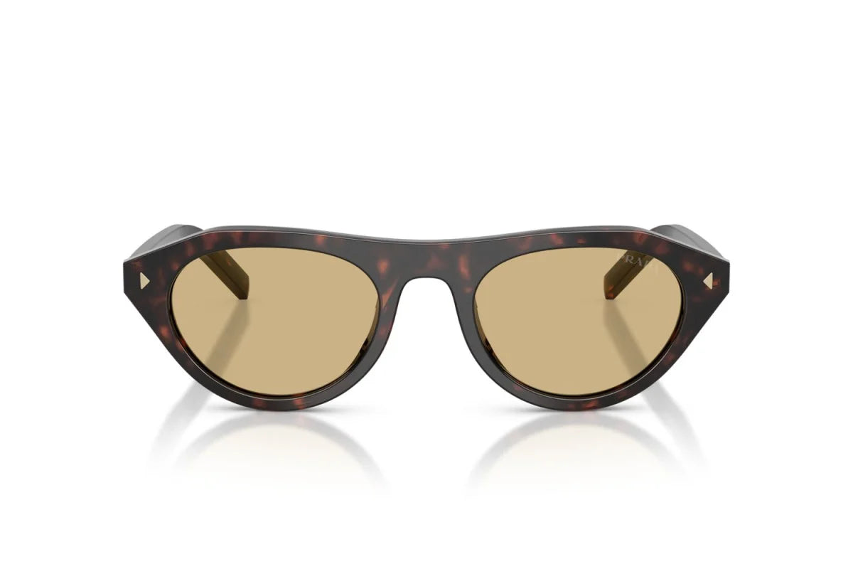 Lunettes de Soleil Tendance Premium Trendy 8856