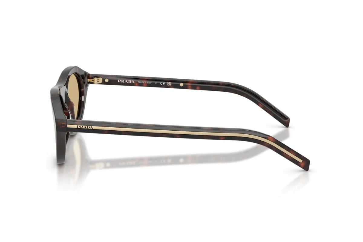 Lunettes de Soleil Tendance Premium Trendy 8856