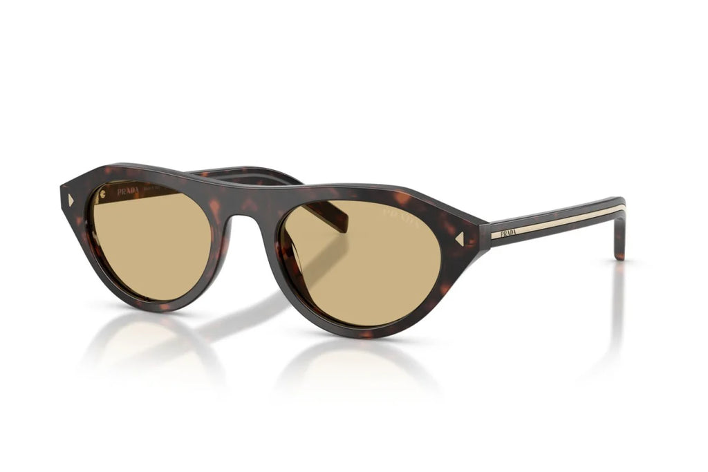 Lunettes de Soleil Tendance Premium Trendy 8856