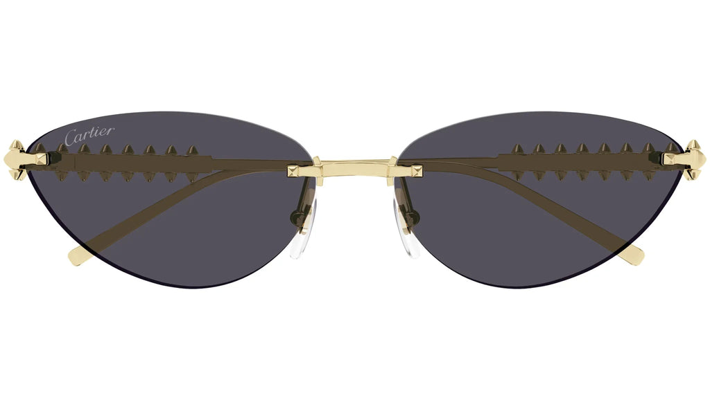 Lunettes de soleil rétro teintées premium 8864