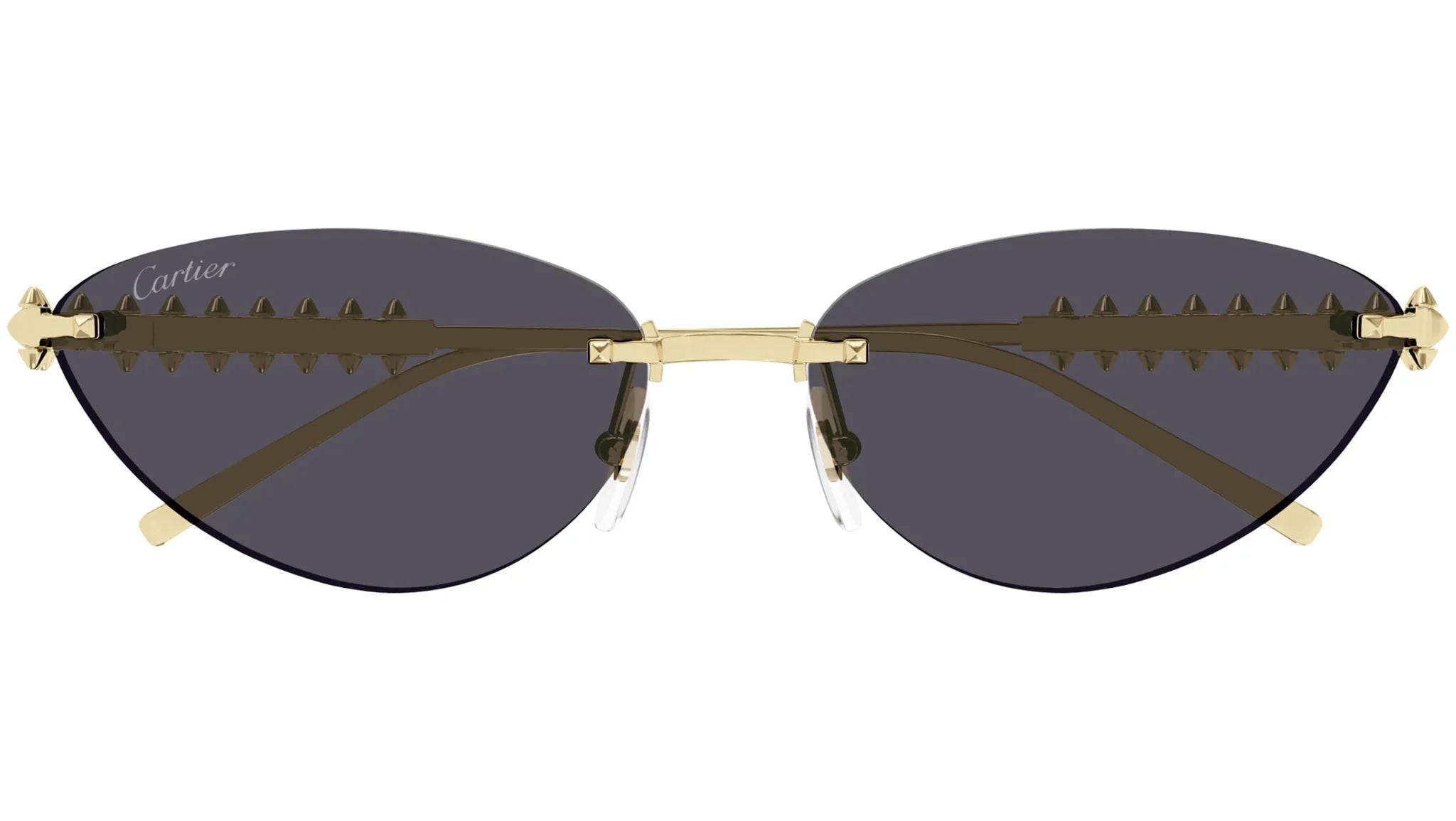 Lunettes de soleil rétro teintées premium 8864